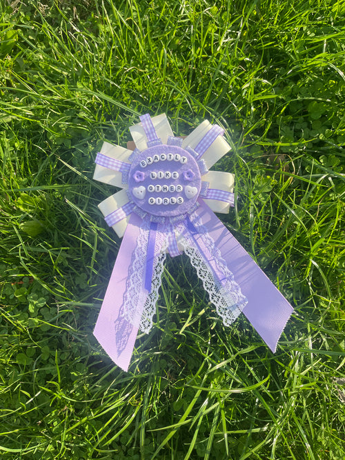 Award Ribbon Craft Kit